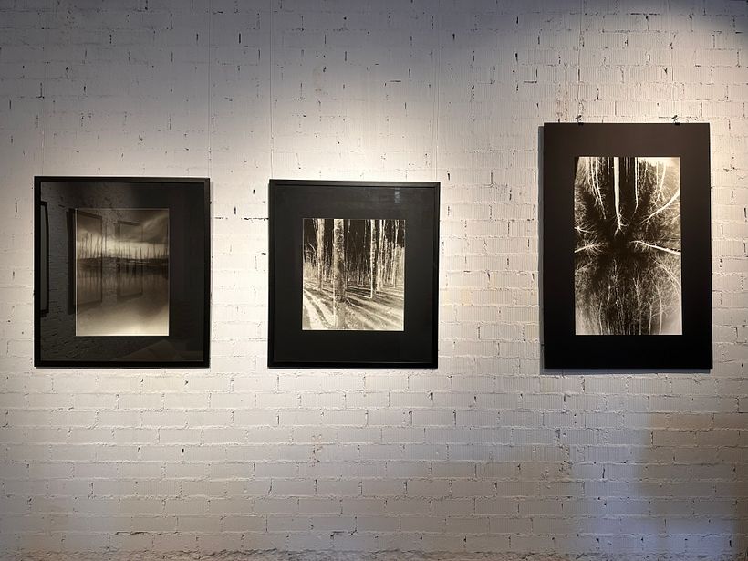 Vista general de la exposición "15 años dando la lata" sección noche simulada