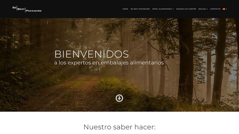 Página web para una empresa de embalajes alimentarios 2
