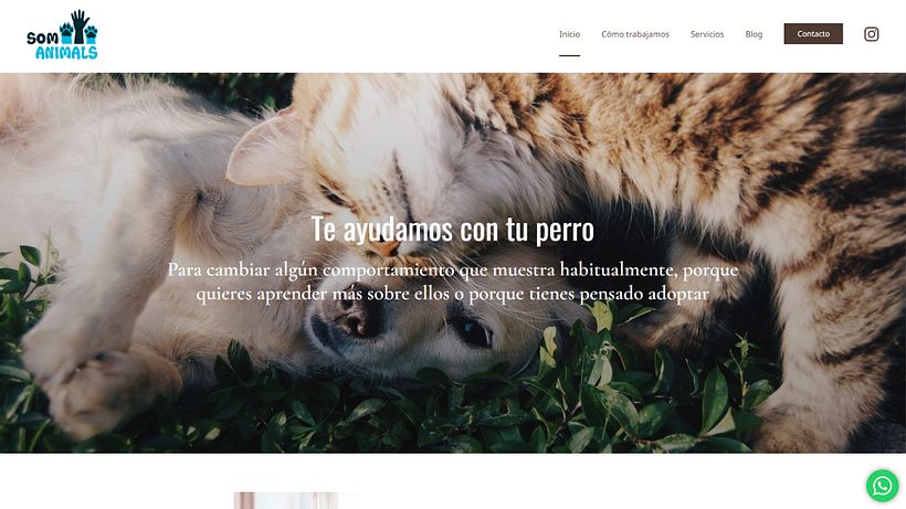 Página web para educadores caninos 3