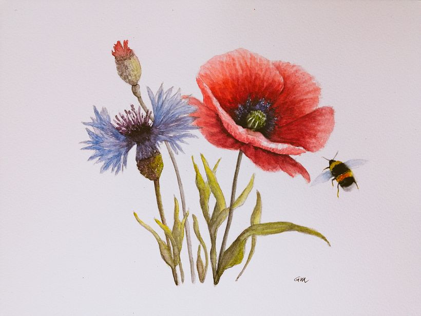 My project for course: Illustrating the Natural World with Watercolor and Charcoal 2