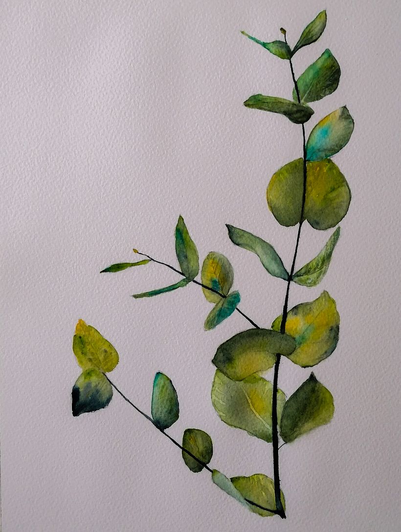 My project for course: Illustrating the Natural World with Watercolor and Charcoal 4