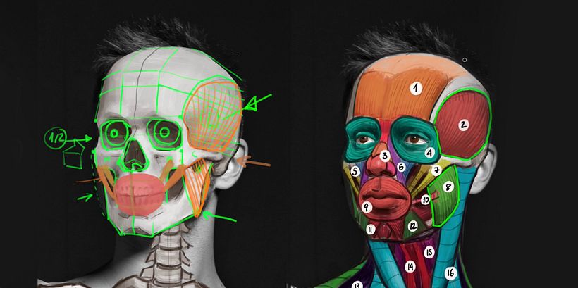 Ideas fáciles para dibujar calaveras 3