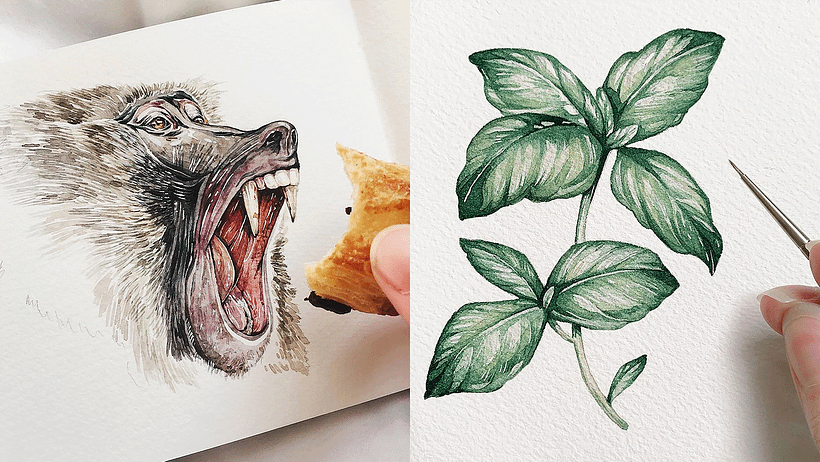 Discovering the Art of Watercolor with Ella Sienna: Painting Realistic Wildlife 3