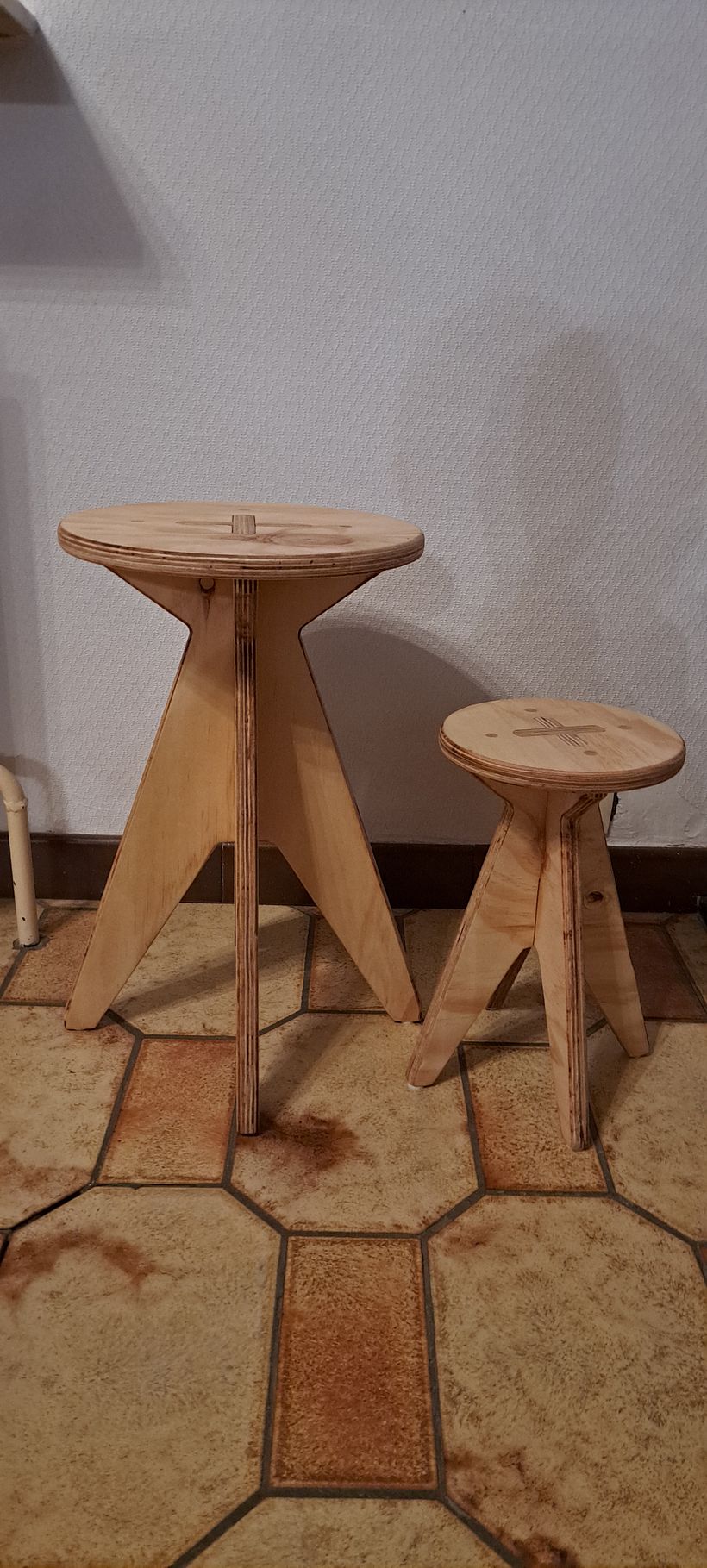 My project for course: Professional Woodworking for Beginners 2