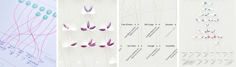Data Visualization Best Practices: Dos and Don'ts 7