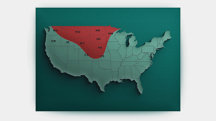 Data Visualization Best Practices: Dos and Don'ts 9
