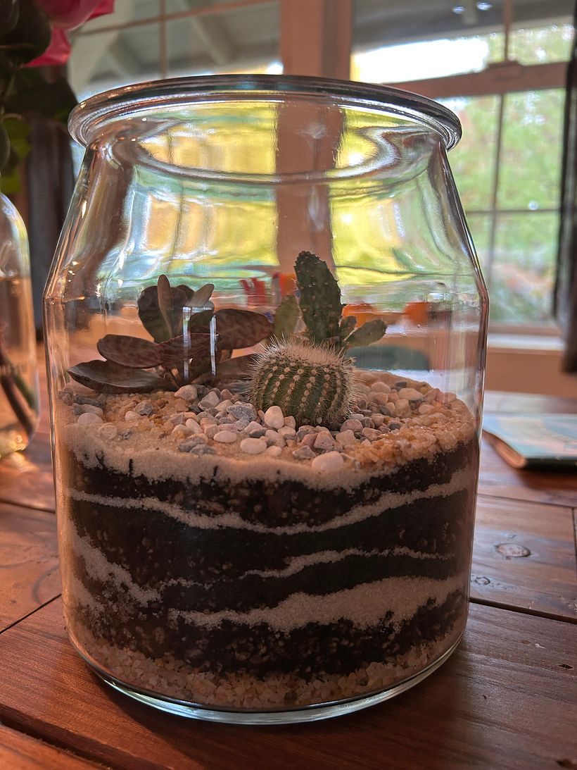 My project for course: Plant Art: Create Your Own Open Terrarium  3