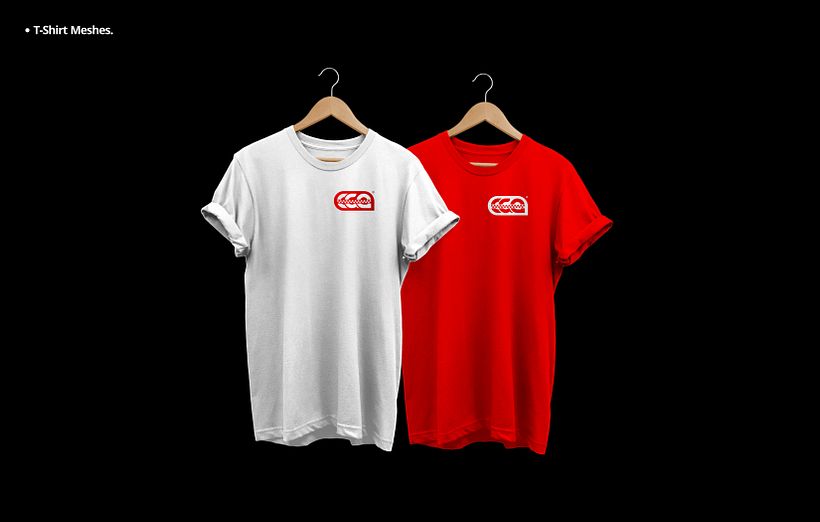 Brand Identity Design for an Automobile brand 13