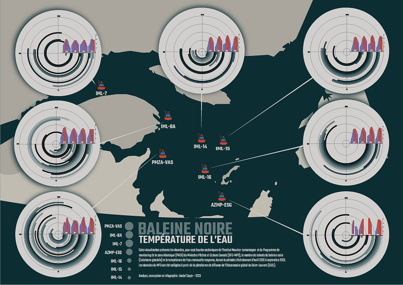 dataviz - baleine noire 2