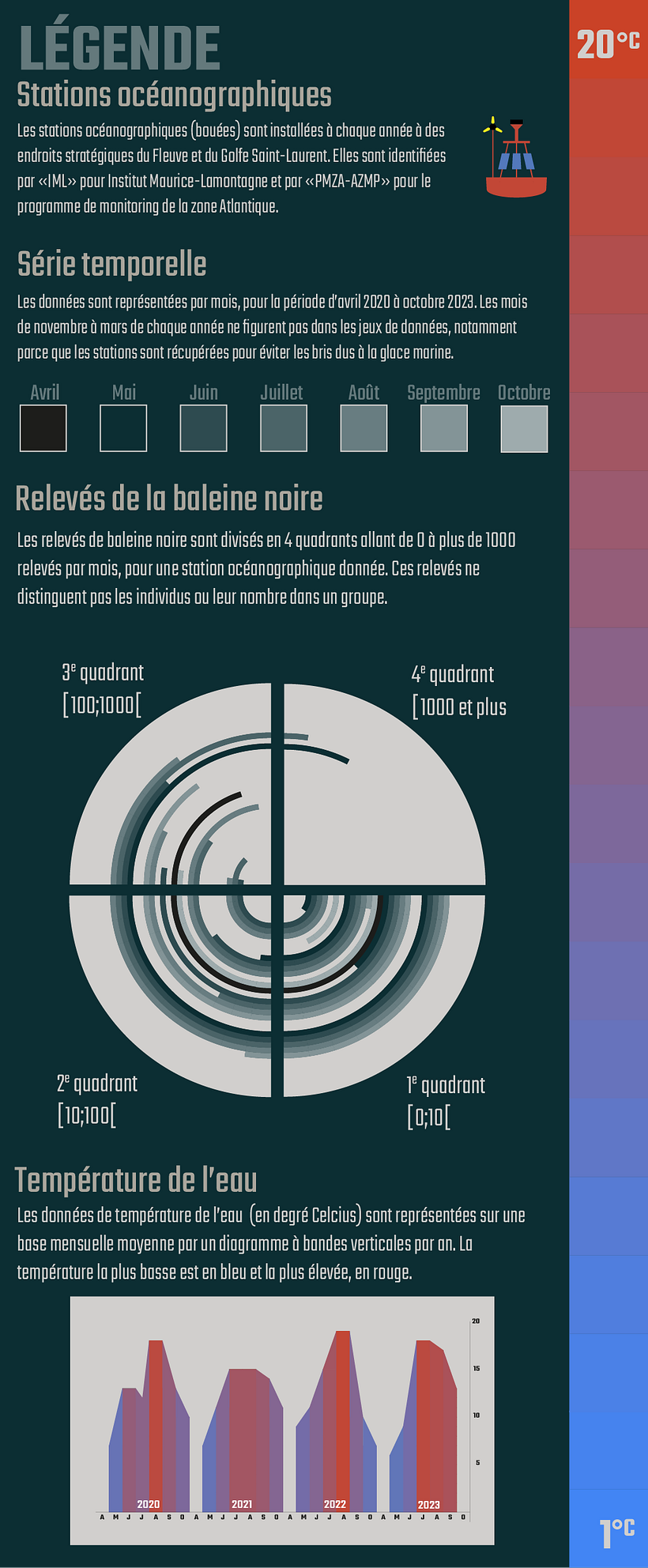 dataviz - baleine noire 3