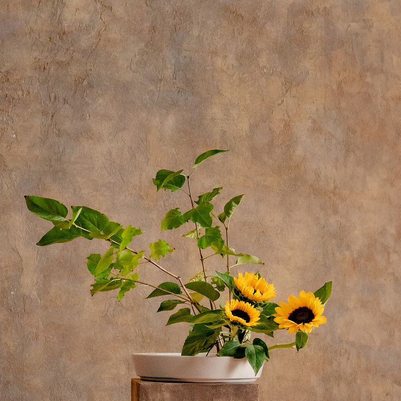 Connect with Nature and Discover the Beauty of Imperfection with Ikebana: The Japanese Art of Flower Arranging 7