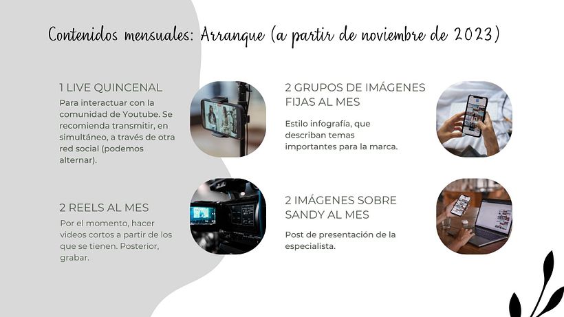 Mi proyecto del curso: Desarrollo de un plan de medios digitales 13