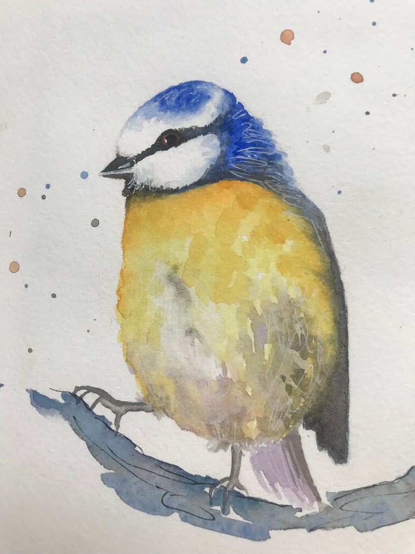 My project for course: Artistic Watercolor Techniques for Illustrating Birds 2