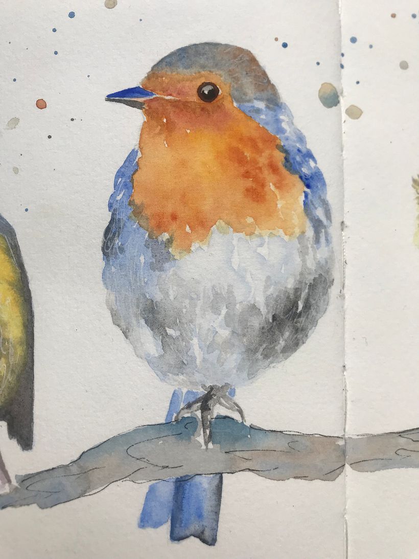 My project for course: Artistic Watercolor Techniques for Illustrating Birds 3