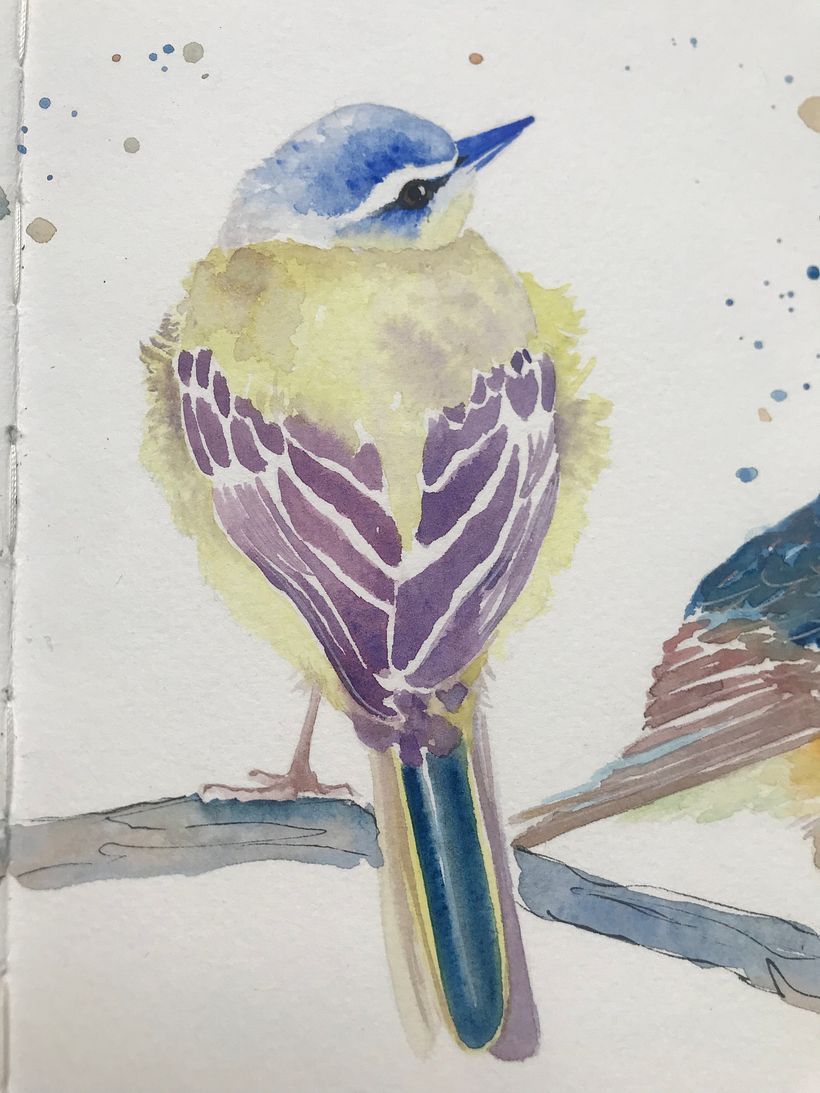 My project for course: Artistic Watercolor Techniques for Illustrating Birds 4