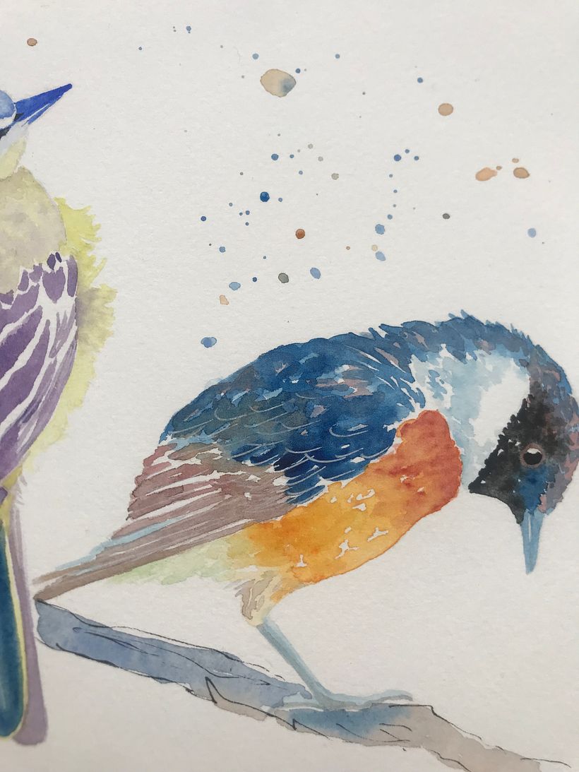 My project for course: Artistic Watercolor Techniques for Illustrating Birds 5