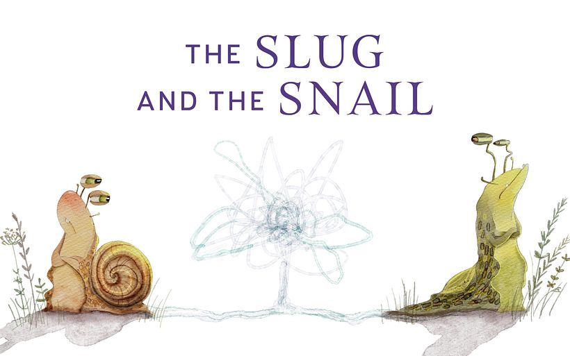 The Slug and The Snail  2
