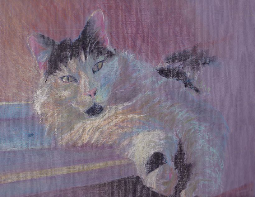 (My cat in pastels)