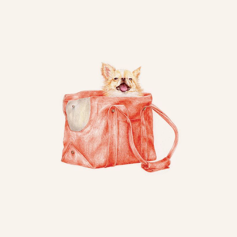 Meu projeto do curso: Sketchbook ilustrado com lápis de cor 6