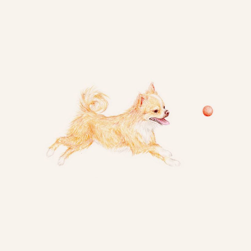 Meu projeto do curso: Sketchbook ilustrado com lápis de cor 7