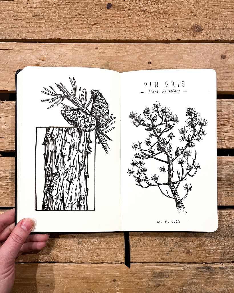 Podpowiedź nr 31: Ogień