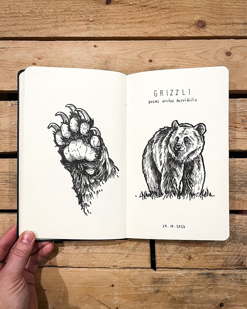 Podpowiedź nr 27: Bestia