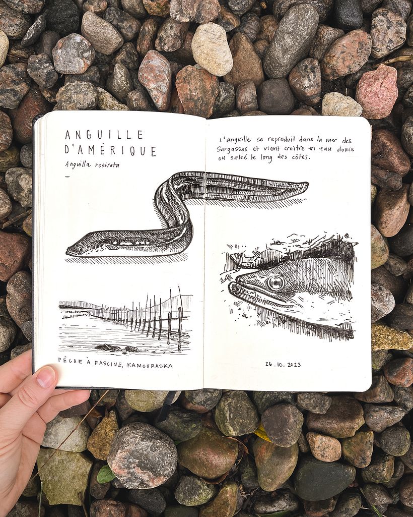 Podpowiedź nr 24: Płytkie