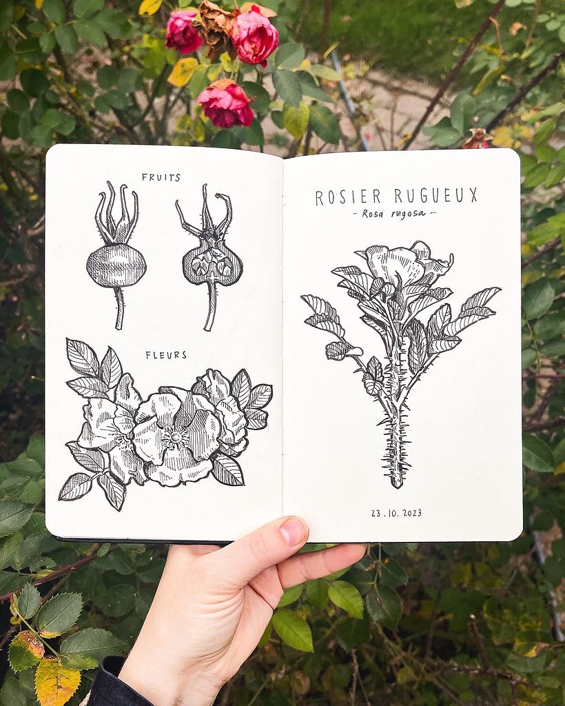 Podpowiedź nr 22: Drapanie