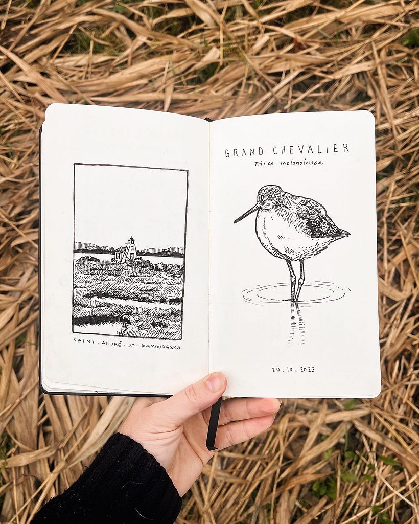 Podpowiedź nr 19: Pulchny