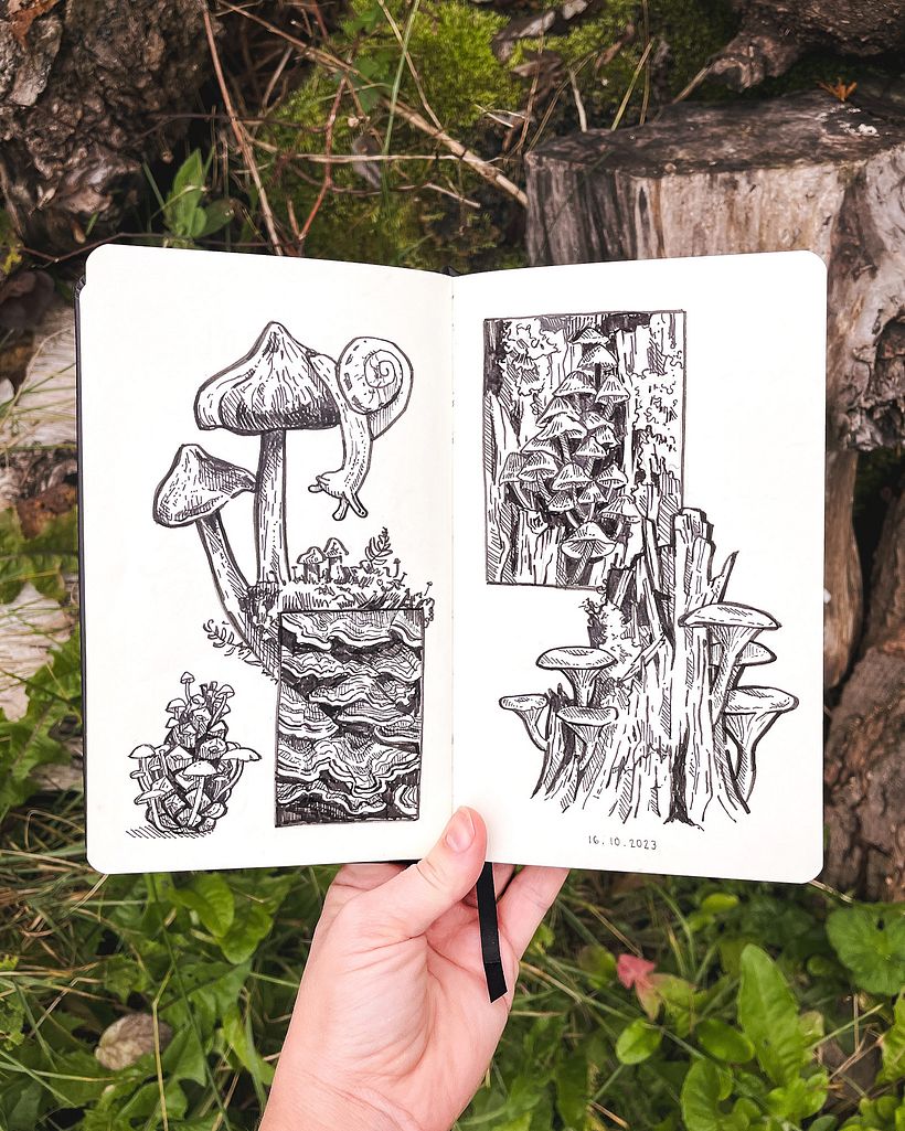 Podpowiedź nr 14: Zamek