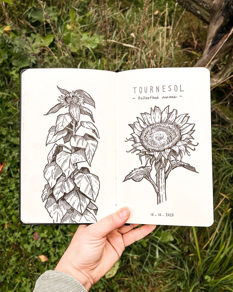 Podpowiedź nr 13: Powstanie