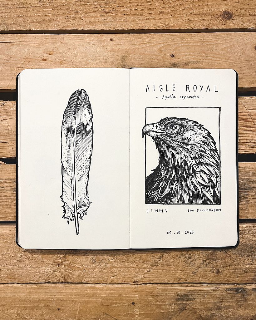 Podpowiedź nr 6: Złoty