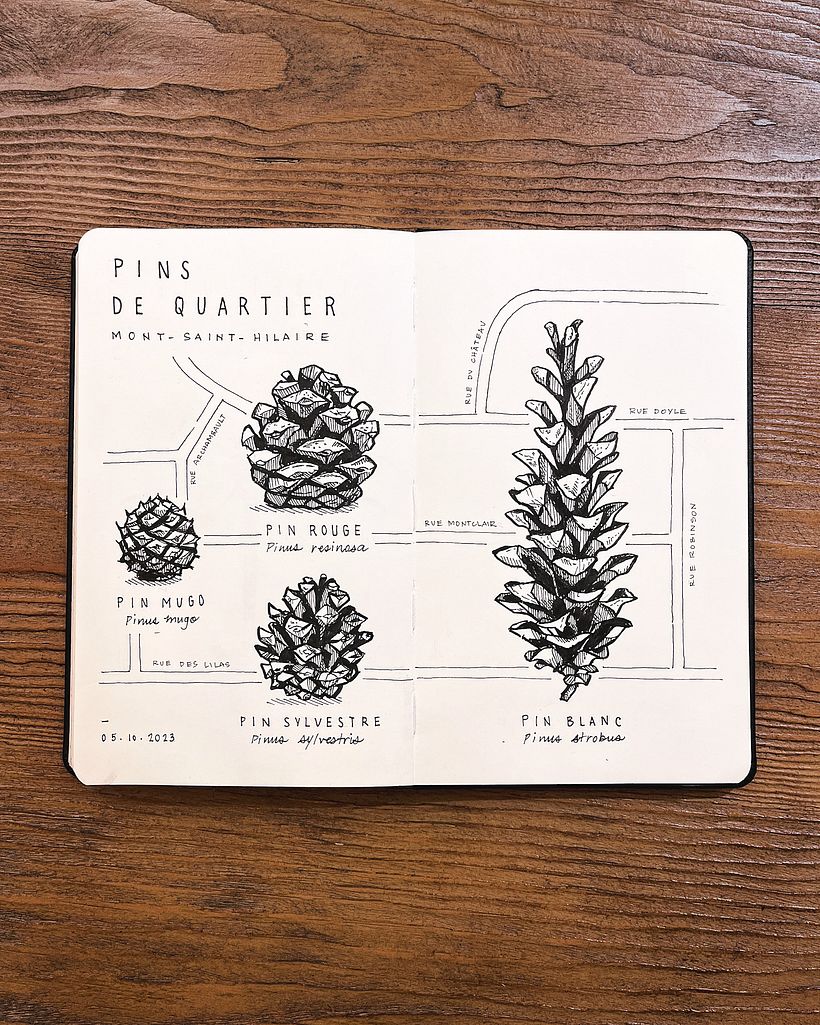 Podpowiedź nr 5: Mapa