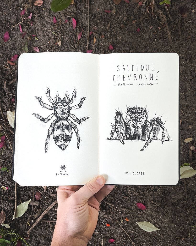 Podpowiedź nr 2: Pająki