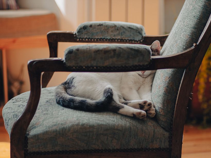 Rainy Sunday Afternoon 7