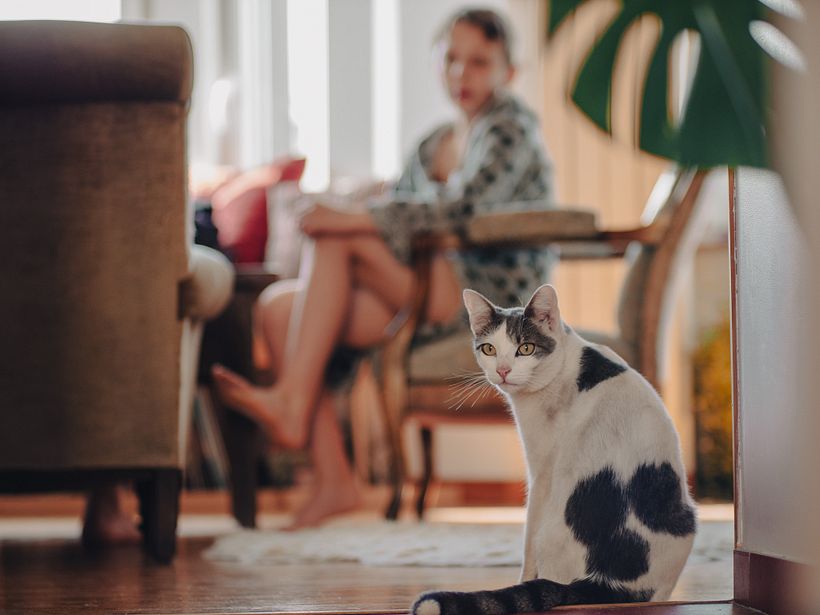 Rainy Sunday Afternoon 5