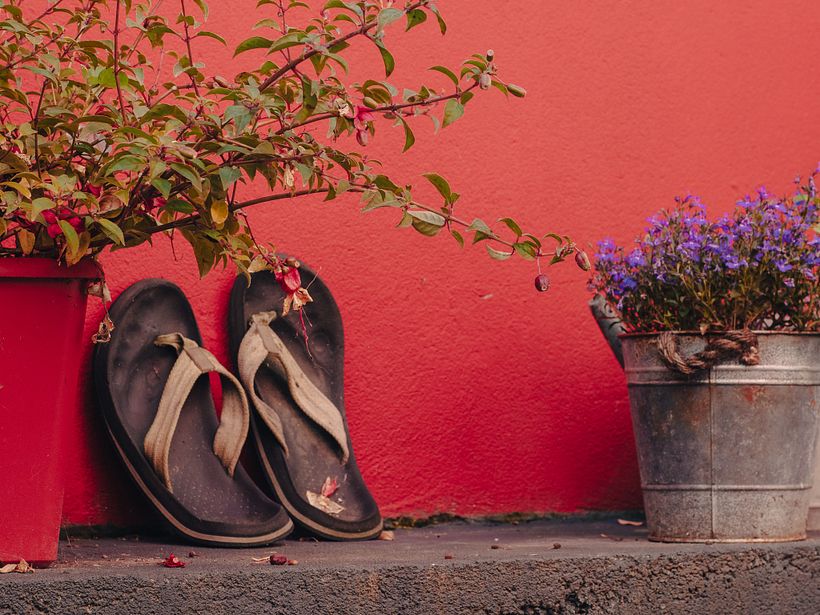 Rainy Sunday Afternoon 2