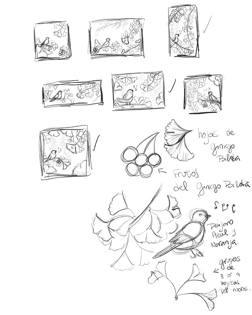 Bocetos de ideas