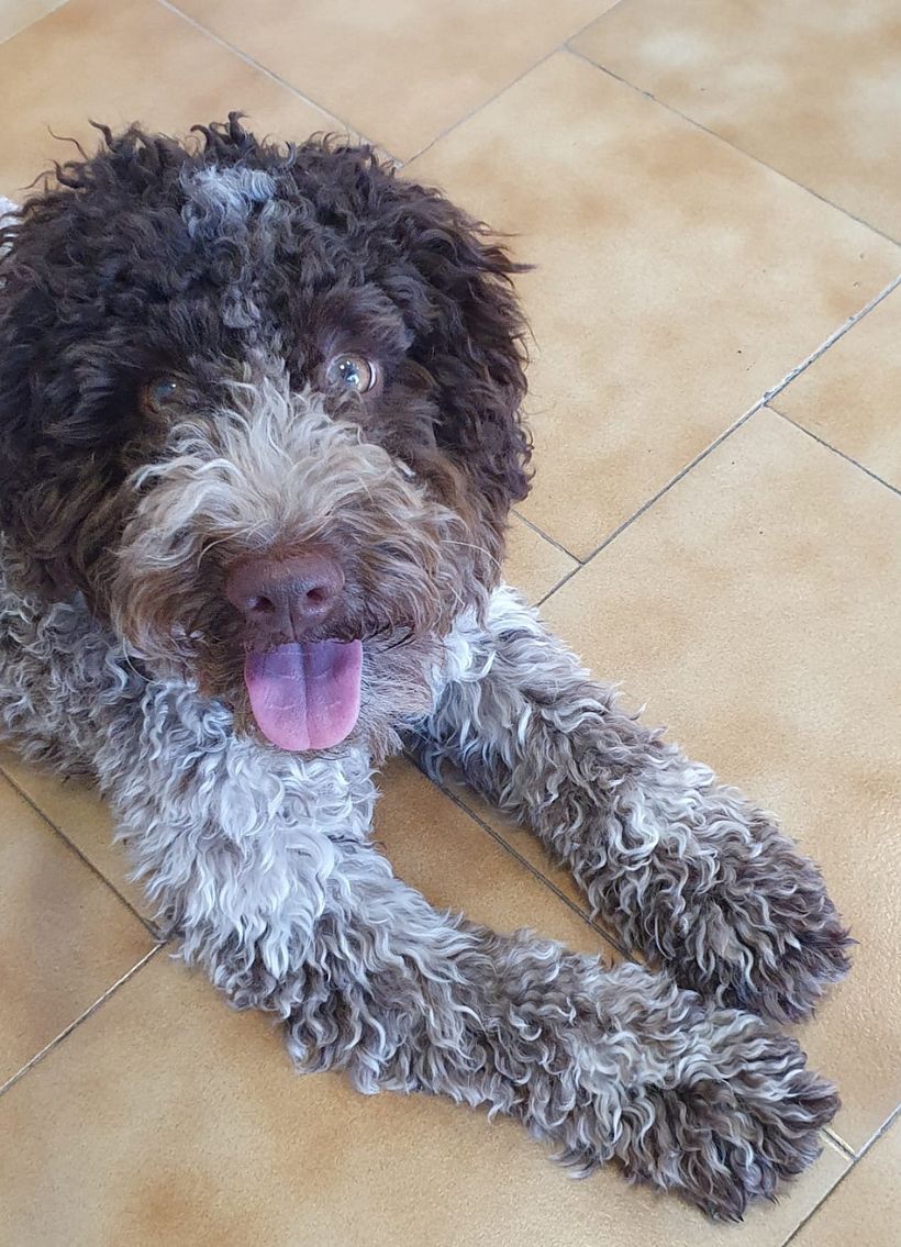Esta é a Moka