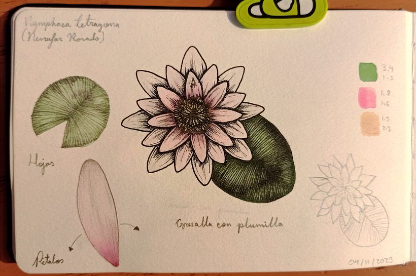 Diario botánico - Ilustración tradicional