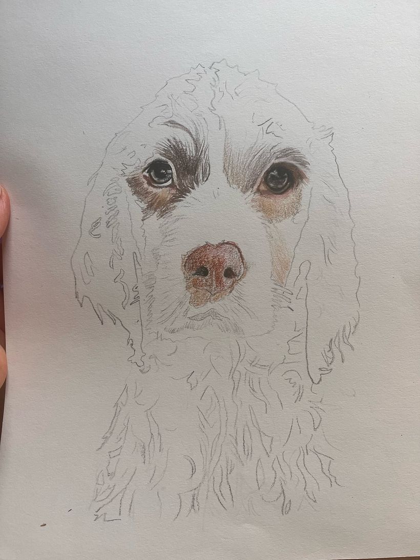 Mi proyecto del curso: Retratos de Mascotas en Lápices de Colores 5