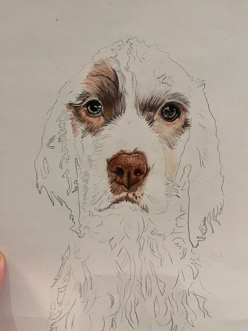 Mi proyecto del curso: Retratos de Mascotas en Lápices de Colores 6