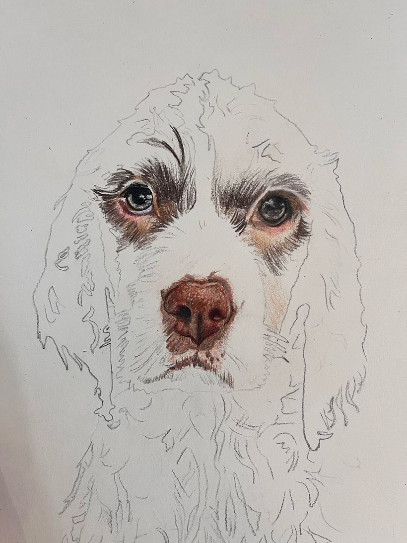Mi proyecto del curso: Retratos de Mascotas en Lápices de Colores 7