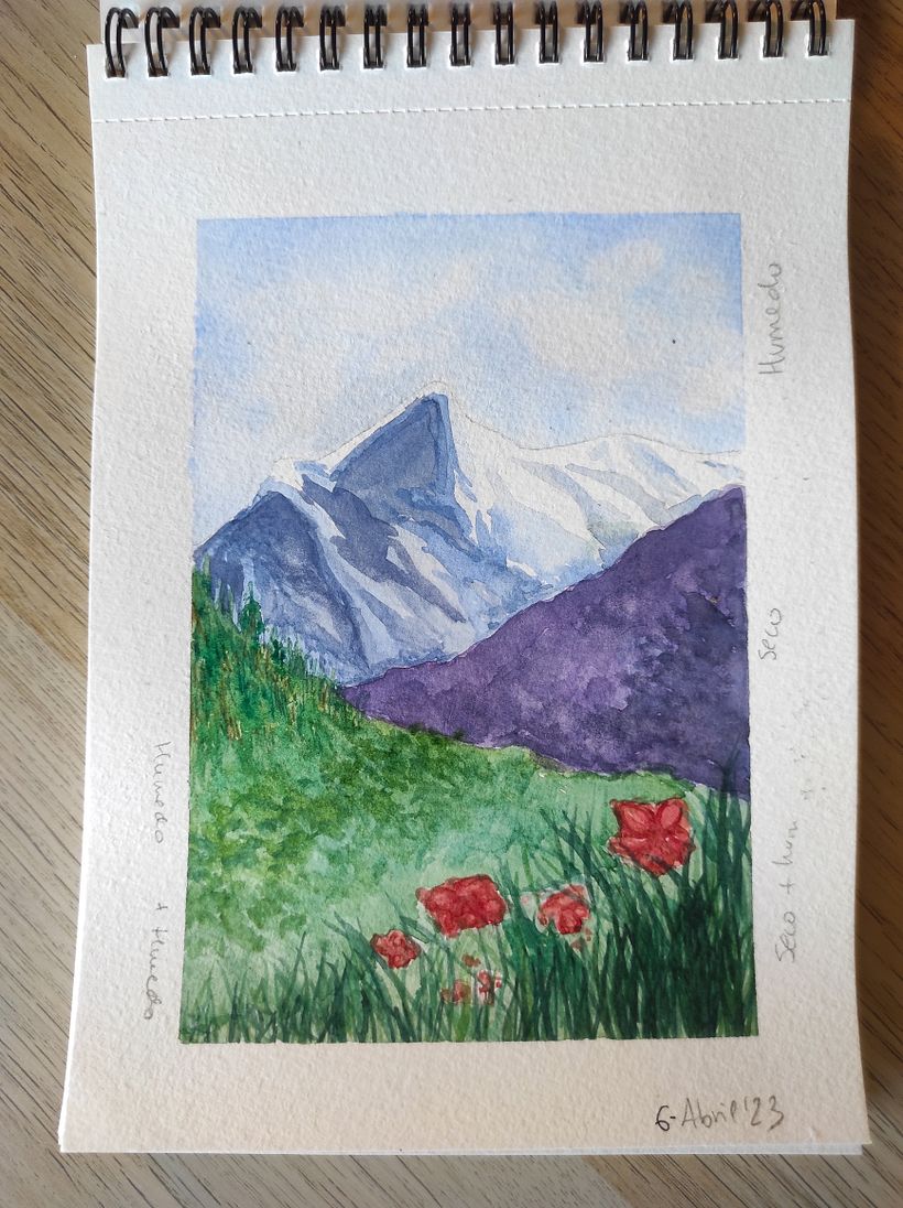 Mi proyecto del curso: Cuaderno botánico en acuarela 4