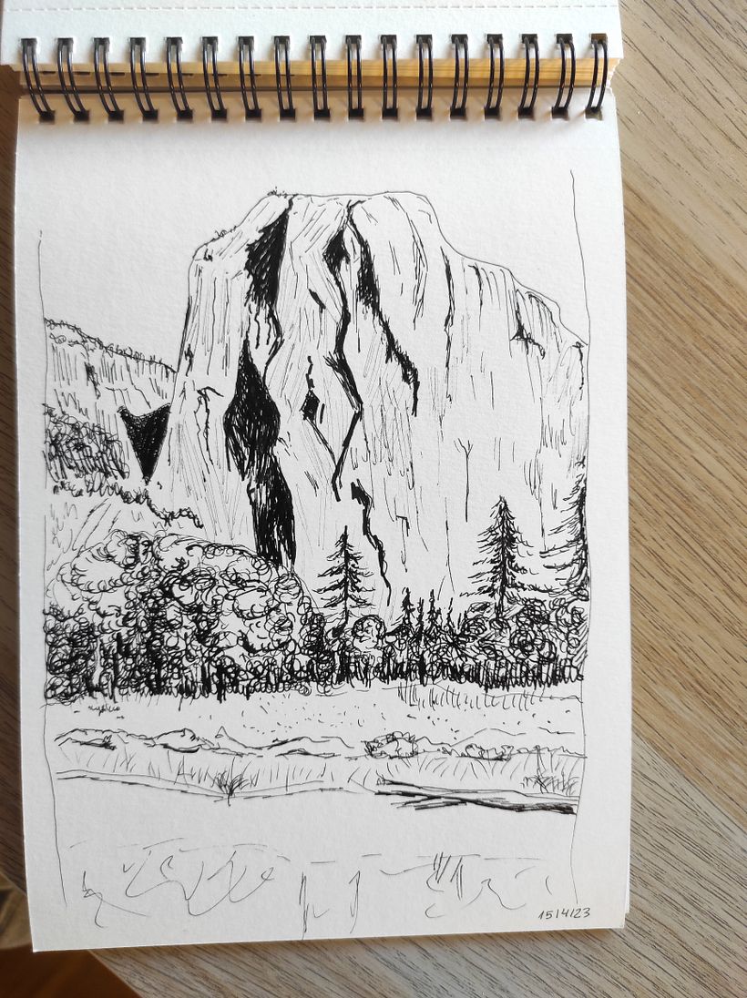Mi proyecto del curso: Cuaderno botánico en acuarela 5