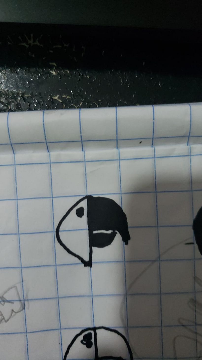 Branding - Wild Macaw - Coffee 7
