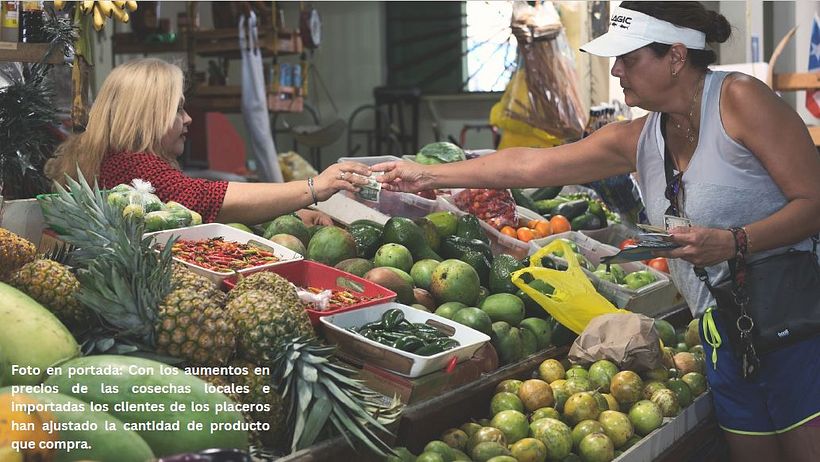 Los Placeros / The Vendors 5