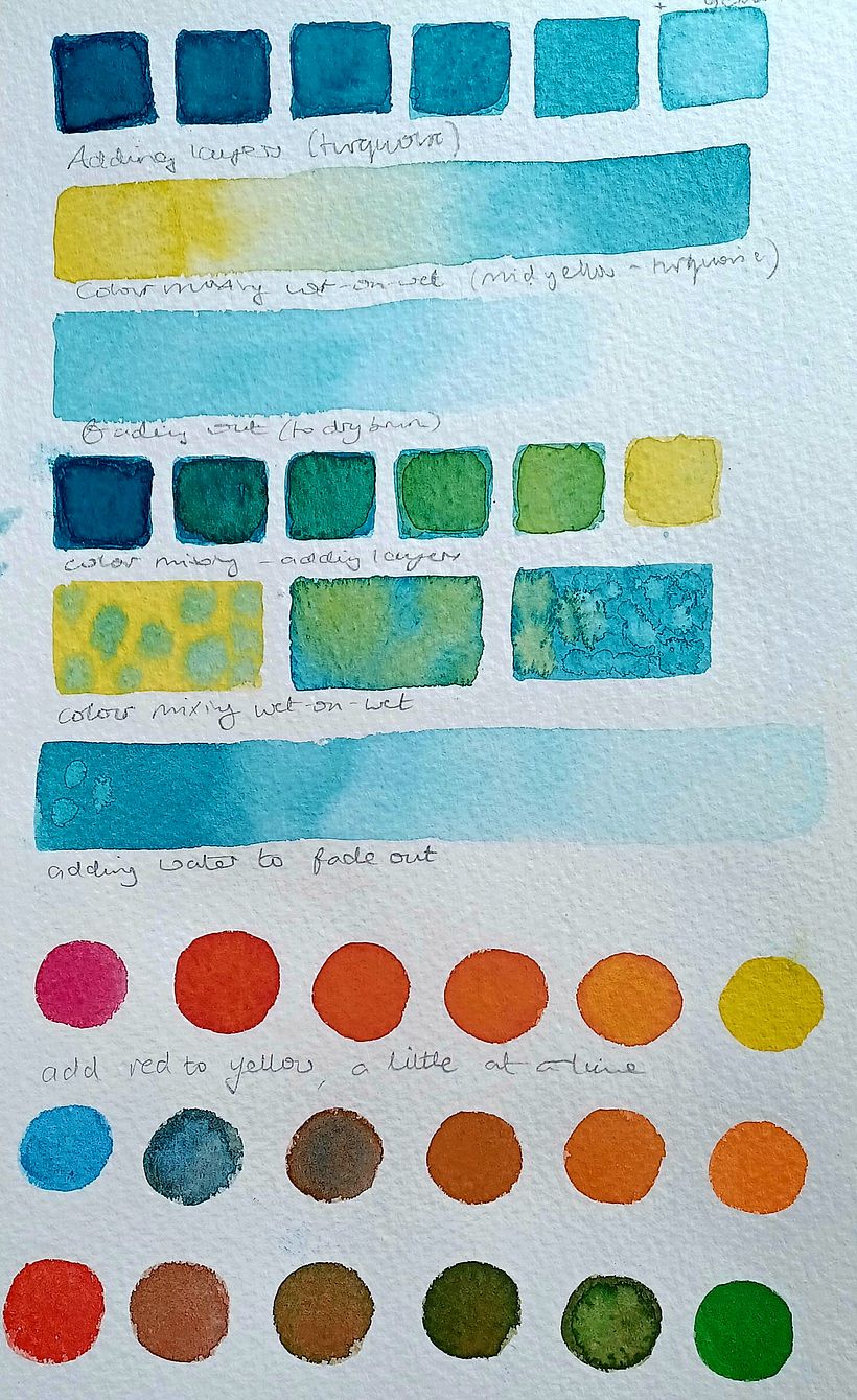 Practicing colour mixing and layering techniques 
