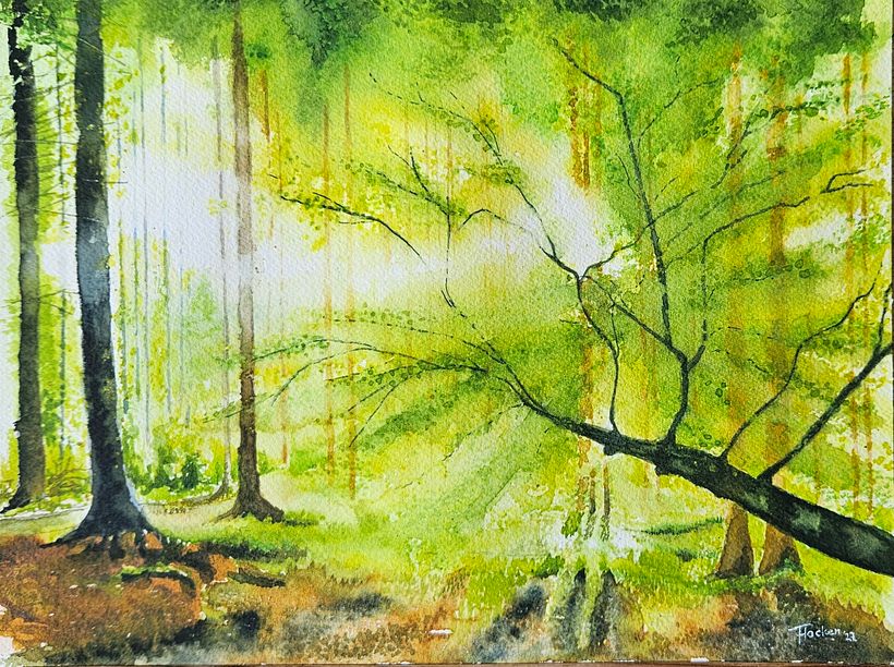 Spring Forest 1