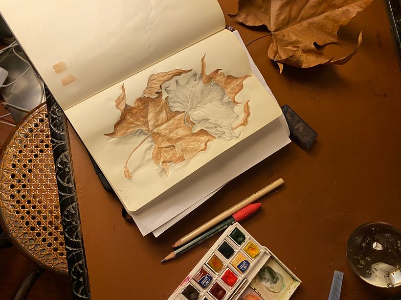 Ho un taccuino dove disegno qualunque cosa 